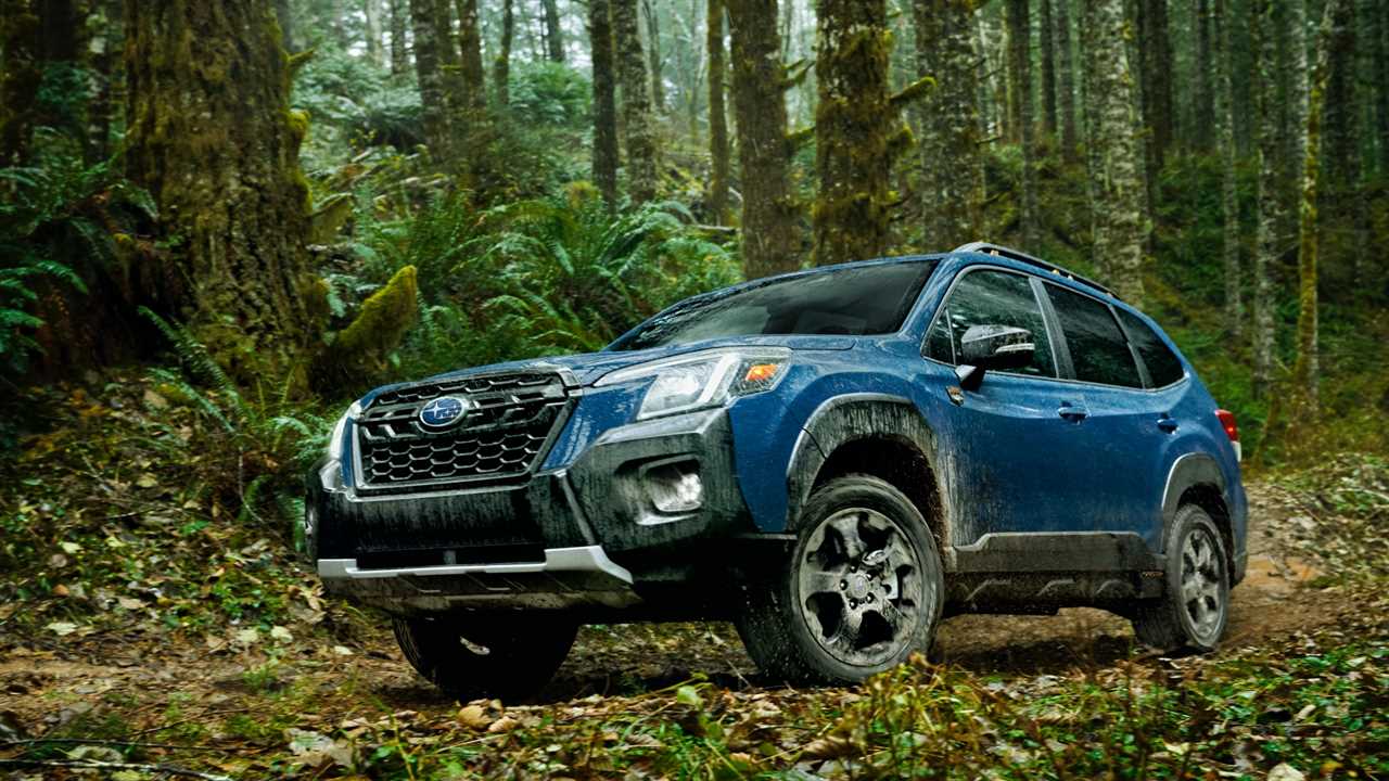 subaru forester wilderness driving in a forest