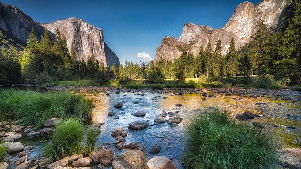 Yosemite National Park: NPS App