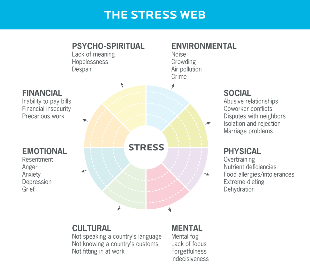 A graphic called "the stress web" shows 8 stress dimensions: phycho-spiritual, environmental, social, physical, mental, emotional, and financial. 