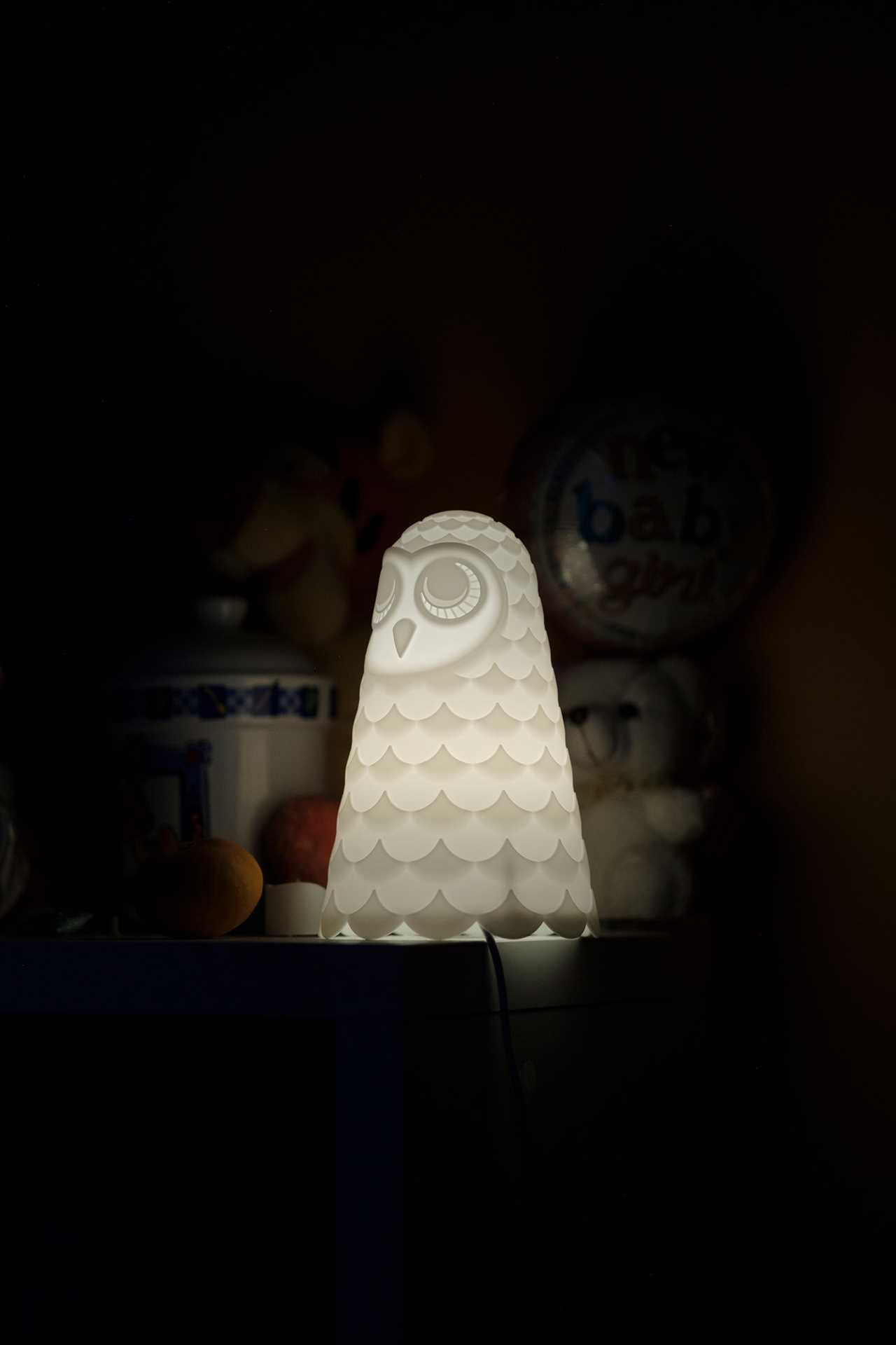 An owl-shaped lamp in Elsie Addisonâ€™s bedroom. Elsieâ€™s father, Martin, used to turn off the light at night before he passed away from COVID-19. Since he passed, Elsie keeps the light on at all times. Waldick, New Jersey, 2021 Â© Sean Sirota for Time Magazine