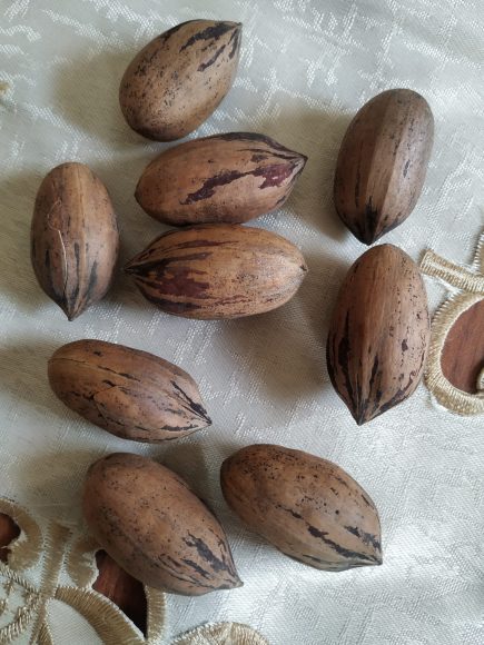 Pecan nutrition and health benefits