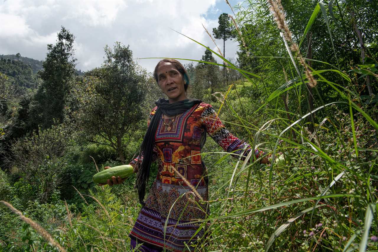 Hema Devi at her farm in Thiroli