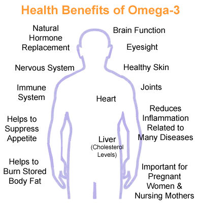 Why Are Omega 3 Fatty Acids Important