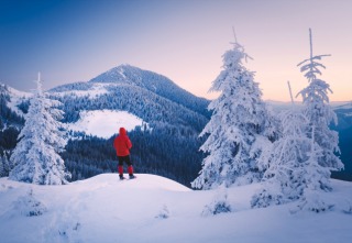 Person standing atop snowy peak next to snow-covered pine tree