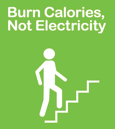 burn calories lose weight