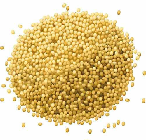 jowar grains superfoods below INR 50