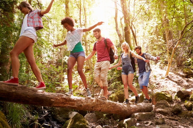 Group of friends crossing a tree trunk bridge in the forest