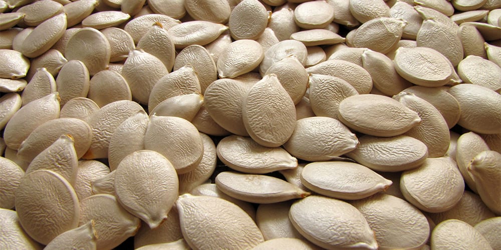 pumpkin seeds | Foods High in Iron