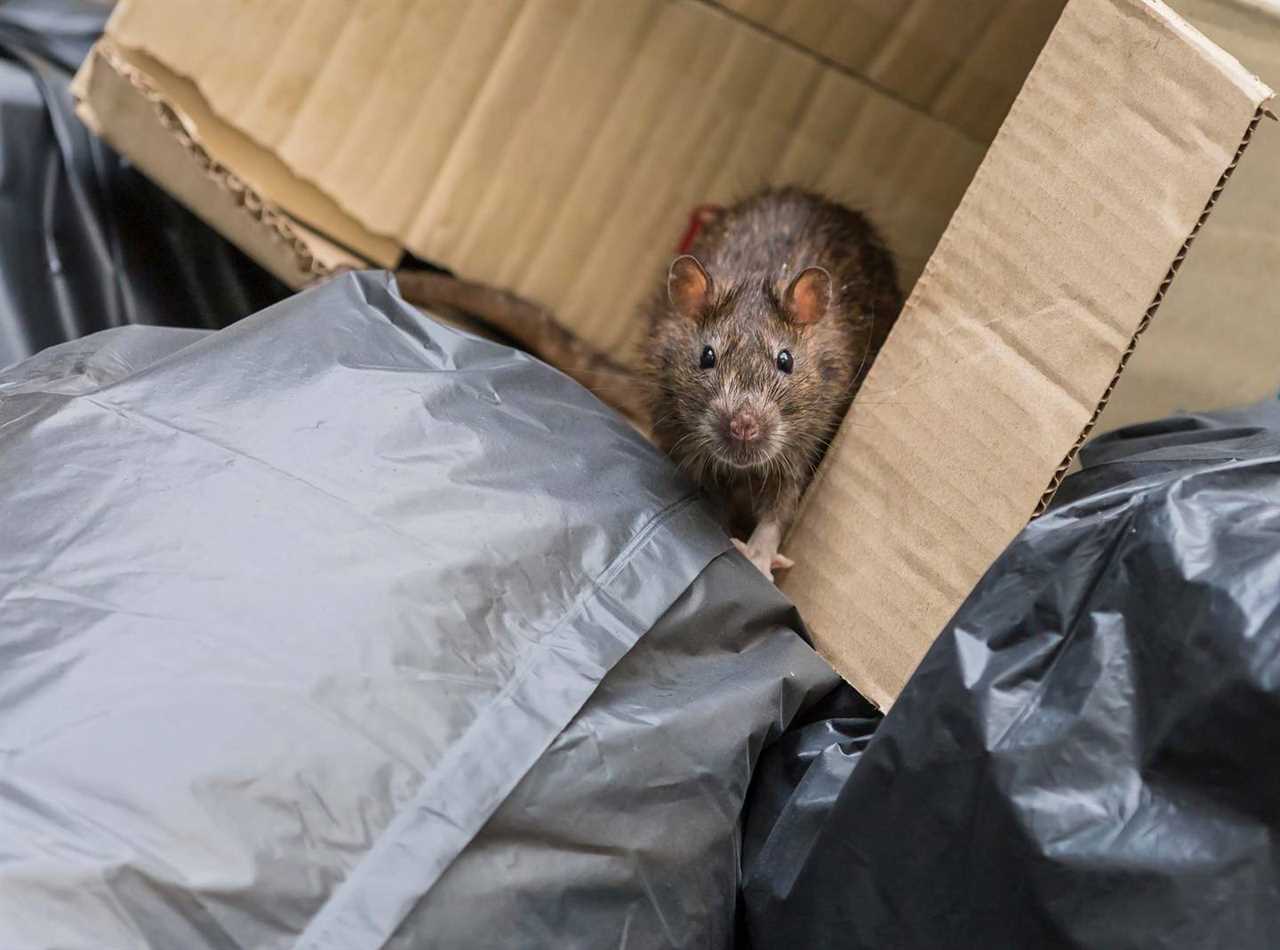 NYC Mayor Adams trash against rodents plans hisses with locals