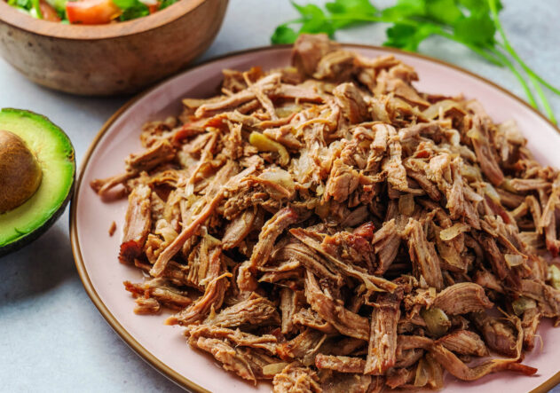 Plate of shredded pork carnitas, avocado, salsa, fresh cilantro