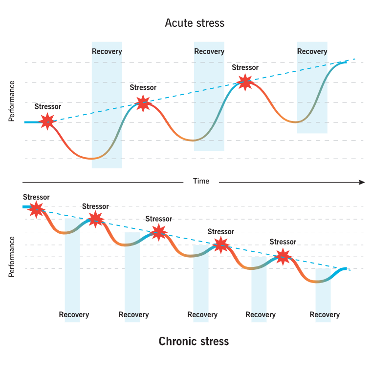 Two graphs compare acute stress versus chronic stress. In acute stress, stress coupled with deep recovery leads to better performance over time. In chronic stress, stress coupled with inadequate recovery leads to worse performance over time.