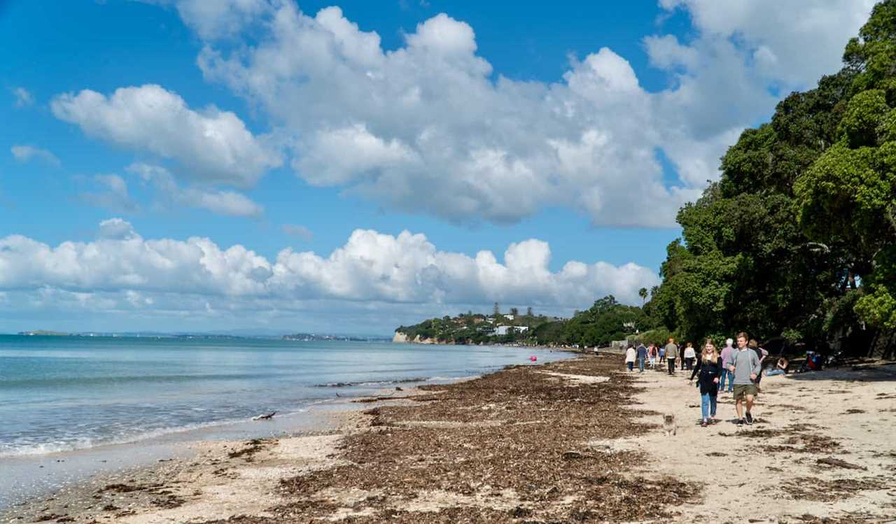 People walking down the wide beach near Takapuna in Auckland, New Zealand