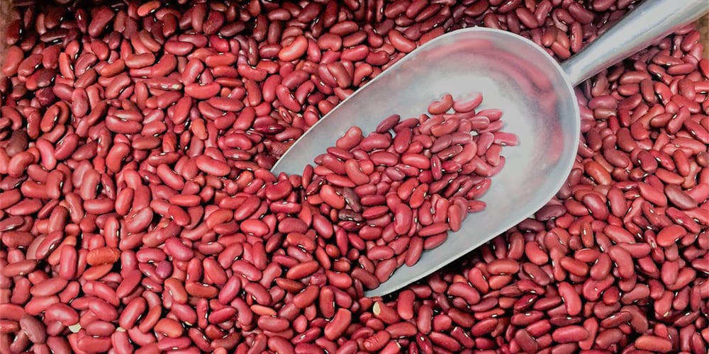 kidney beans | foods high in potassium