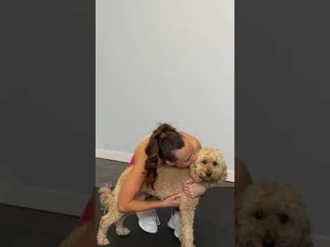 When you have to pause your workout to comfort your dog 😂 #bloopers