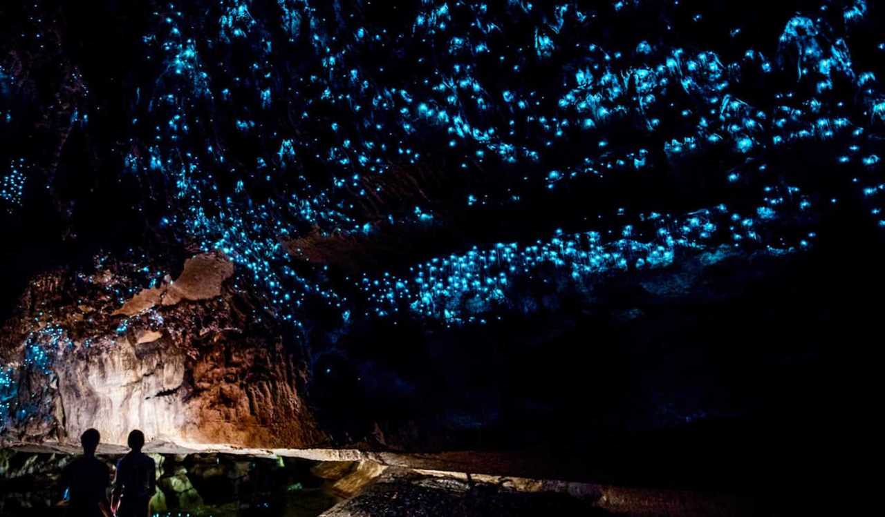 Silhouettes of people staring up at the starry blue lights of glowworms in the caves of Waitomo, New Zealand