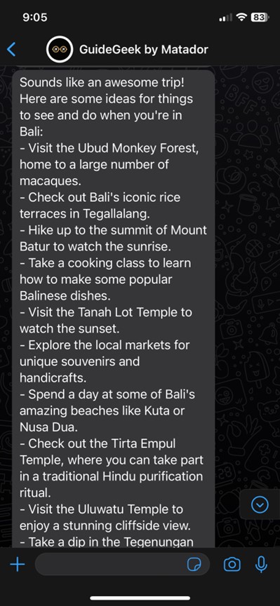 screenshot of Whatsapp chat with Guidegeek AI travel planner