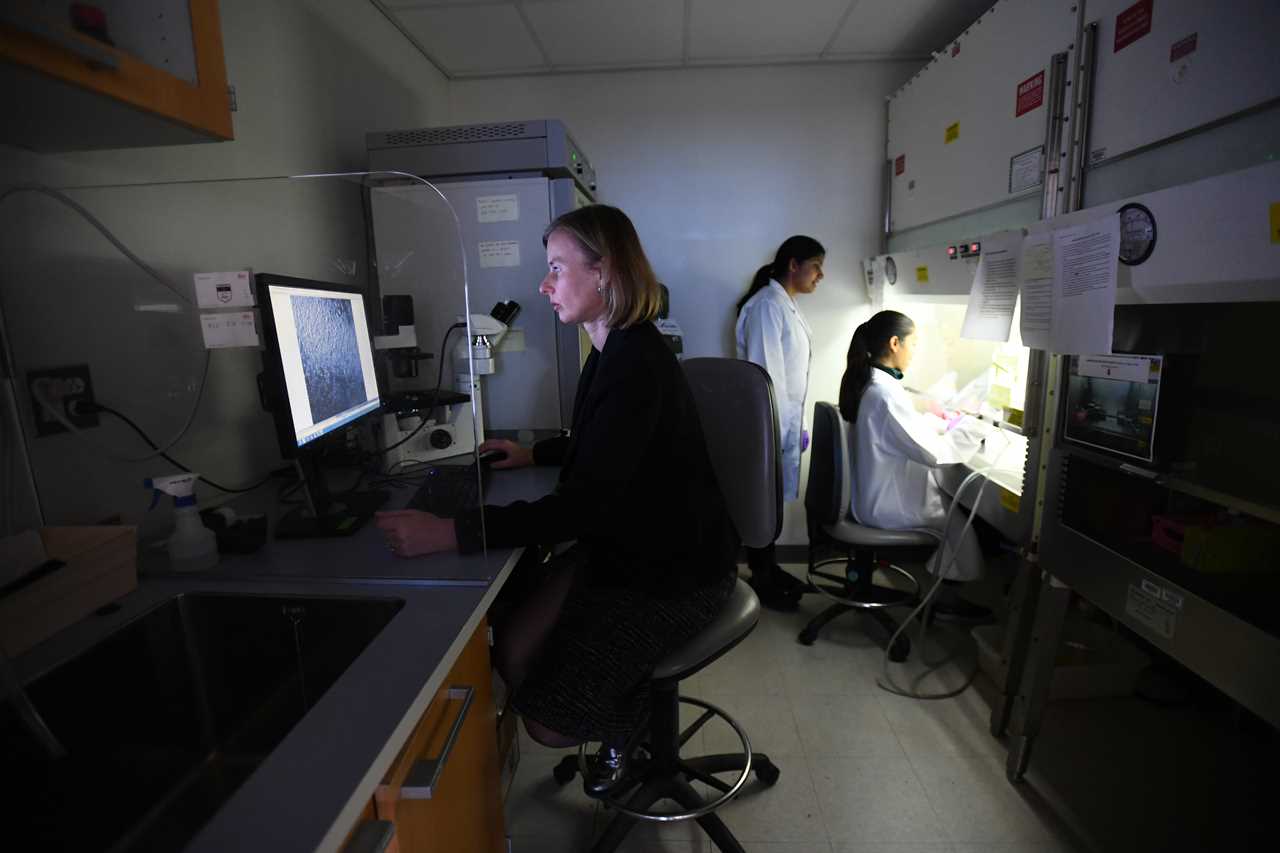 Dr. Ula Jurkunas in the laboratory 