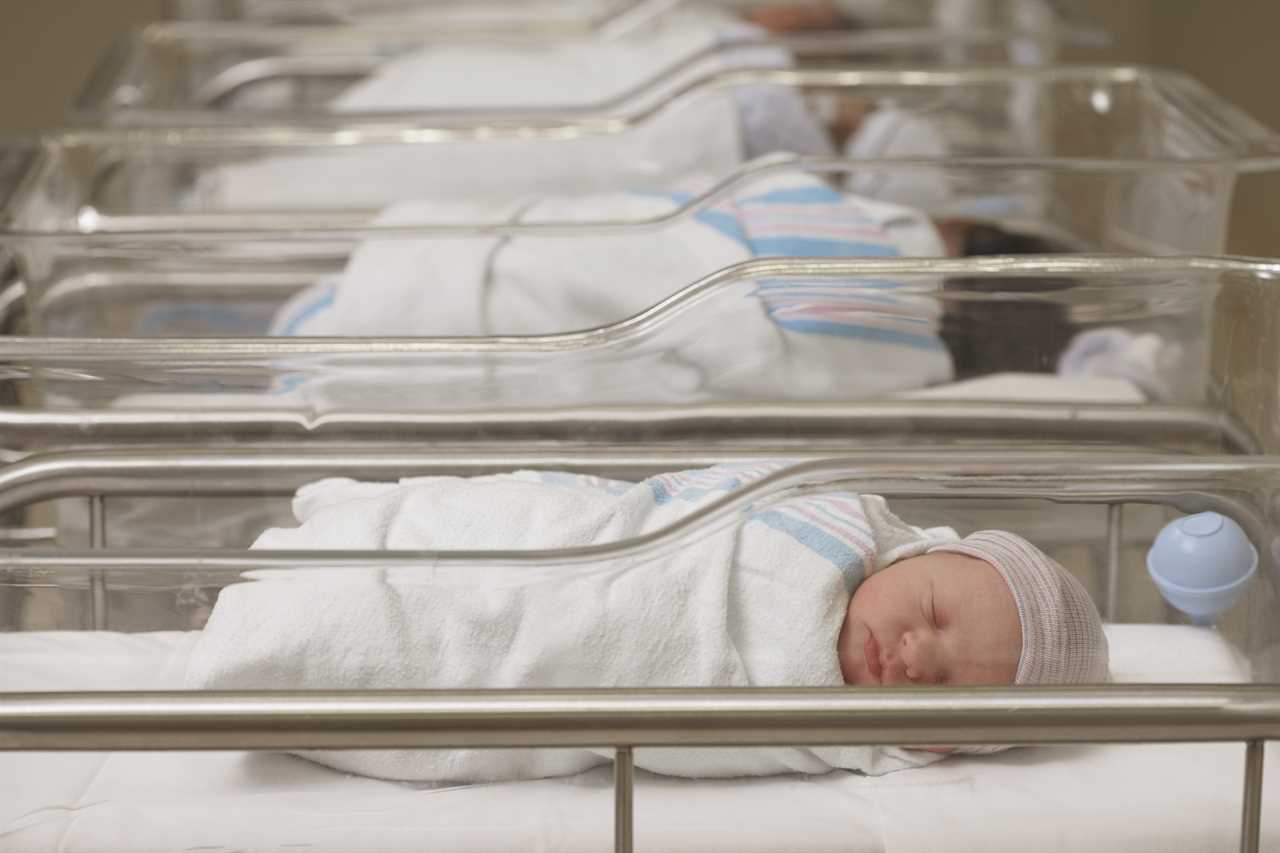 Newborn babies sleeping in hospital nursery