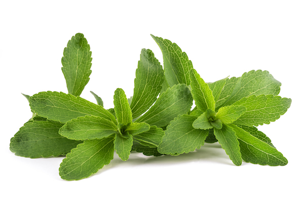 Stevia Rebaudina Plant | Stevia vs Sugar