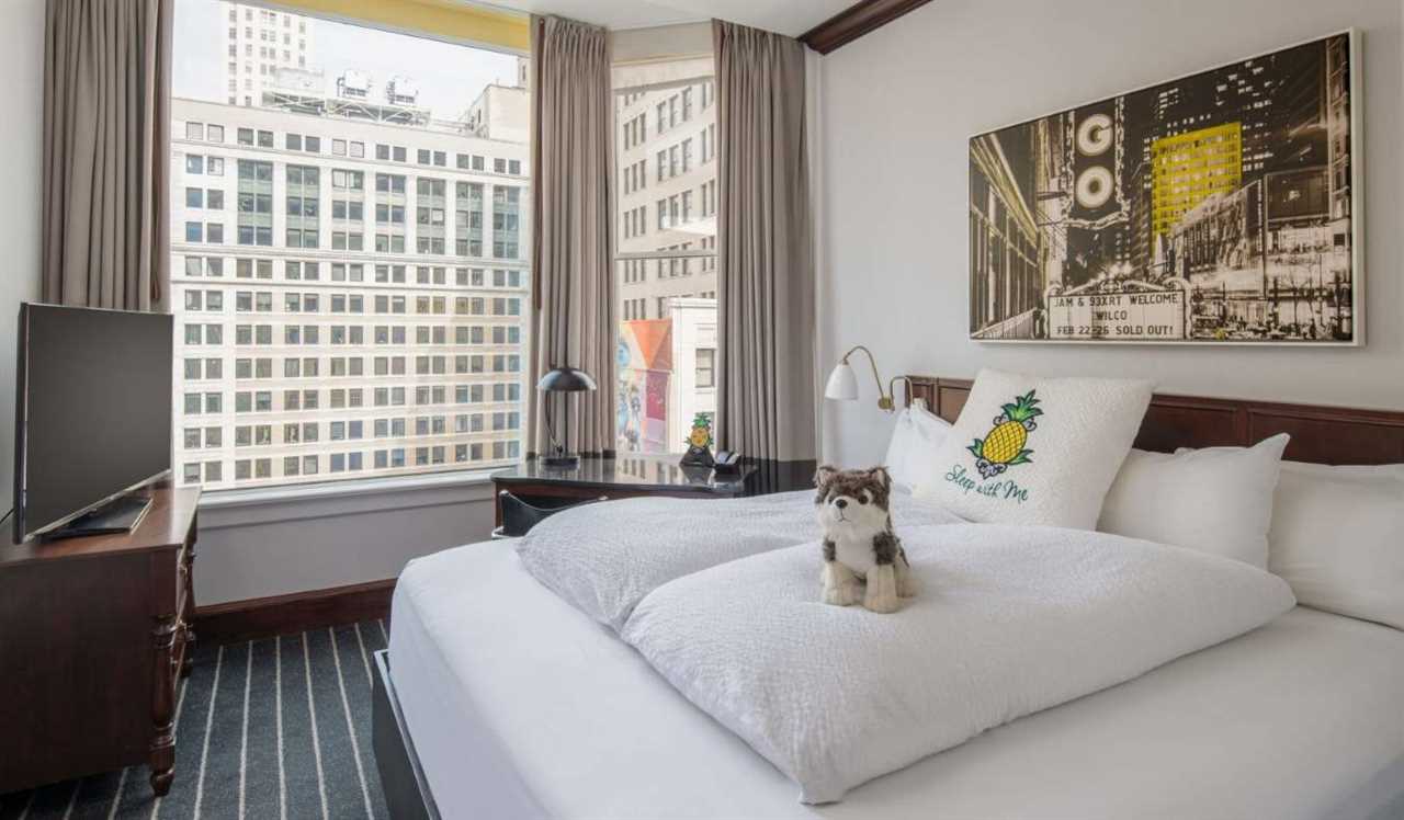 Guest room at Staypineapple hotel in Chicago, with a stuffed dog on the bed and a large window looking out on the skyscrapers of the city