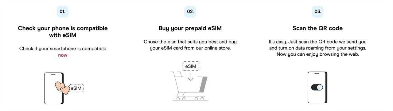 a Holafly eSIM screenshot from their website with instructions