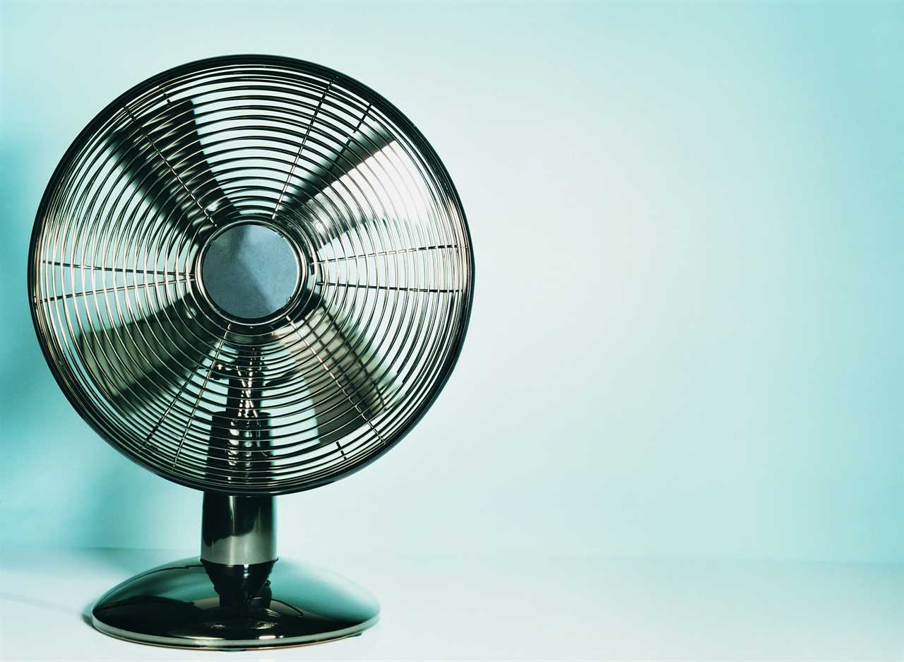 Electric Fan