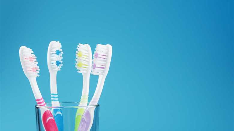 There are a lot of viruses in your toothbrush and showerhead