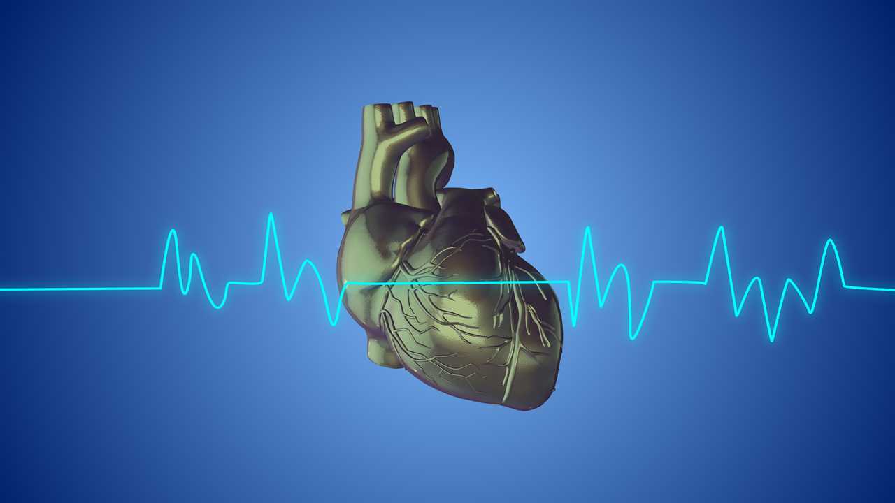 Human heart with a cardiogram line