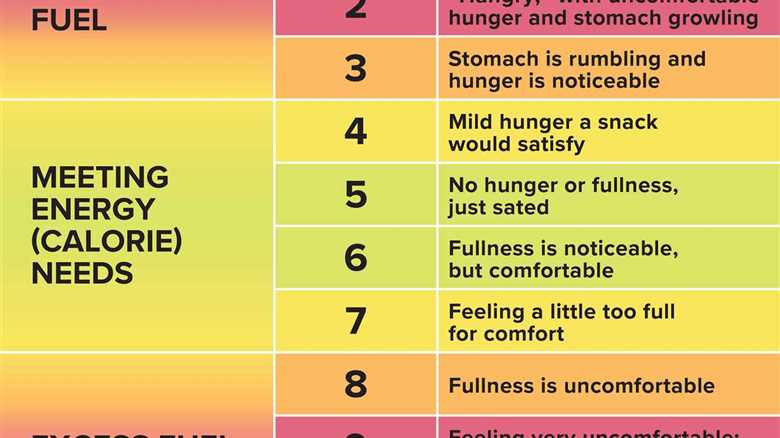 Private: Stop tracking macros, and start trusting yourself with food