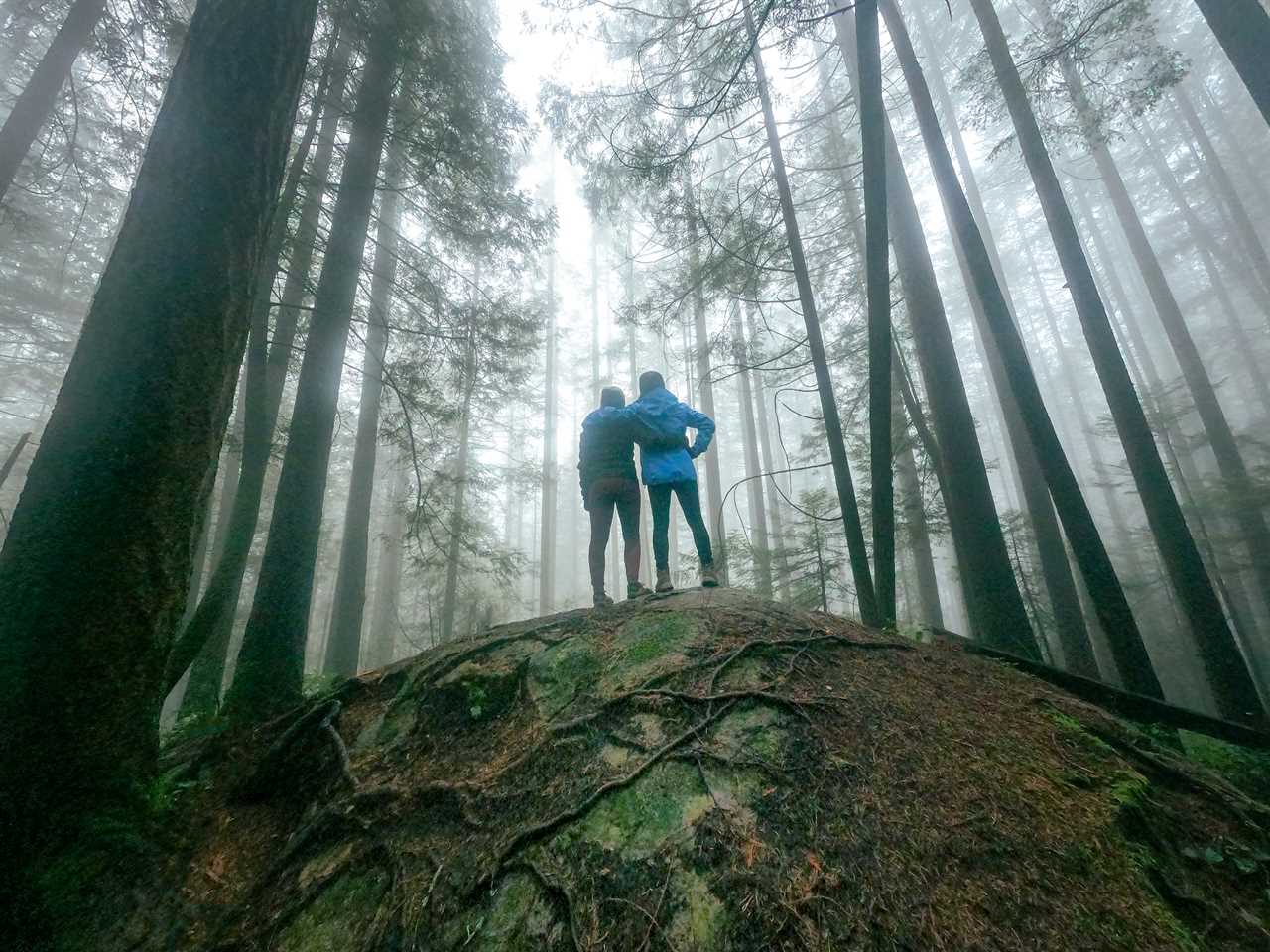 Daughter and Mother Looking at View of Misty Winter Forest