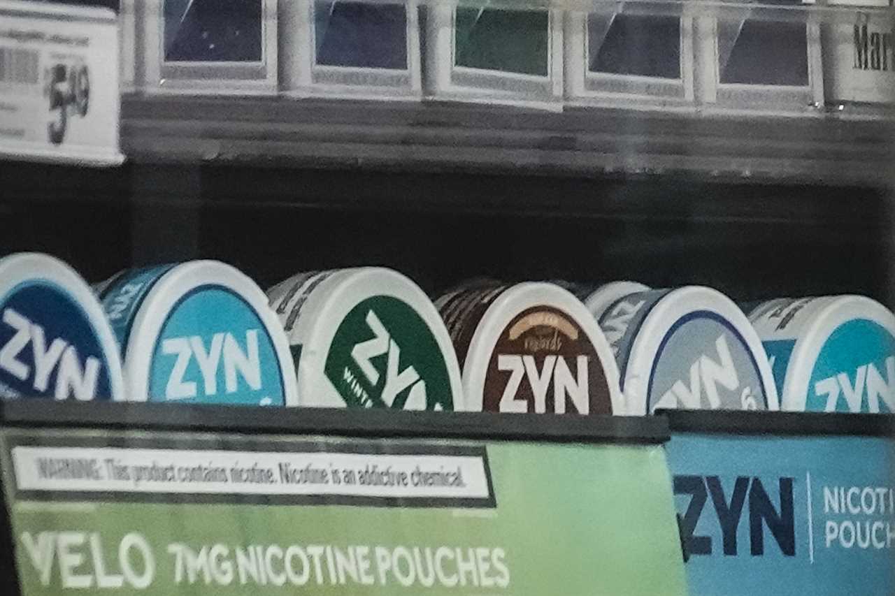 FDA-Zyn Pouches