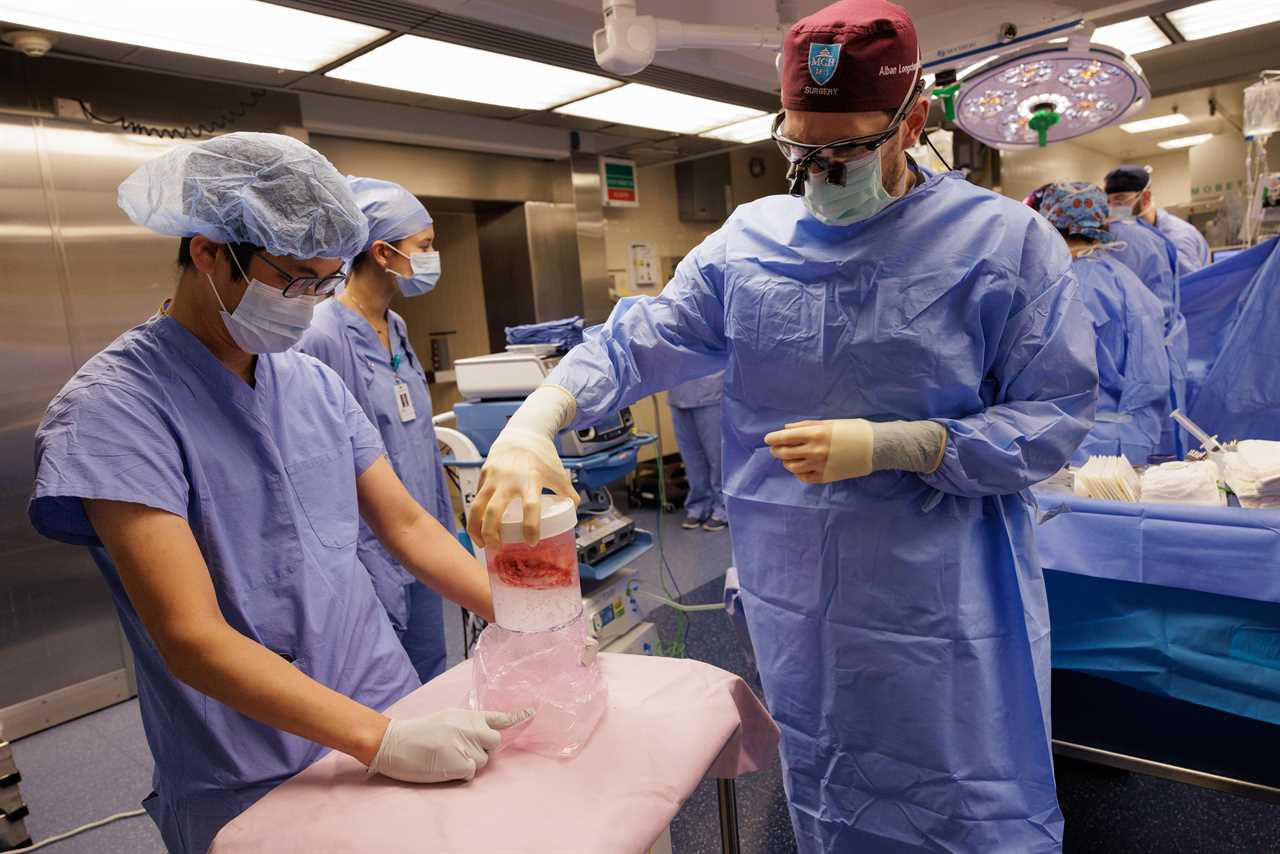 Surgeons from Massachusetts General Hospital on Saturday, Jan. 25 successfully transplanted a genetically-edited pig kidney into 66-year-old Tim Andrews of Concord, N.H.