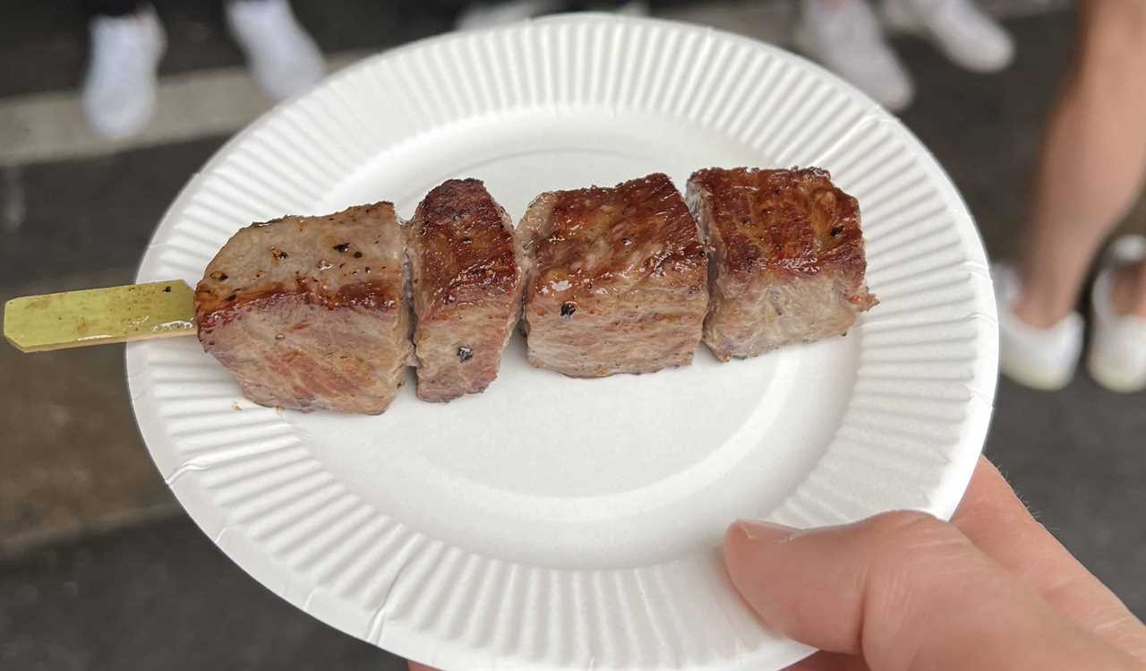 A meat skewer on a paper plate from an outdoor street vendor