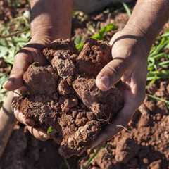 Climate Change and Gut Health