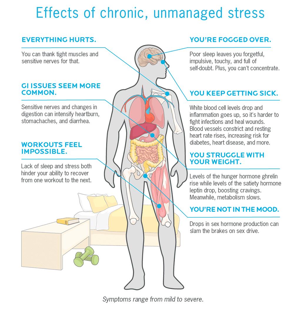 Image shows the variety of effects chronic, unmanaged stress can have on the body, from brain fog, frequent infection, poor recovery, weight gain, and more.