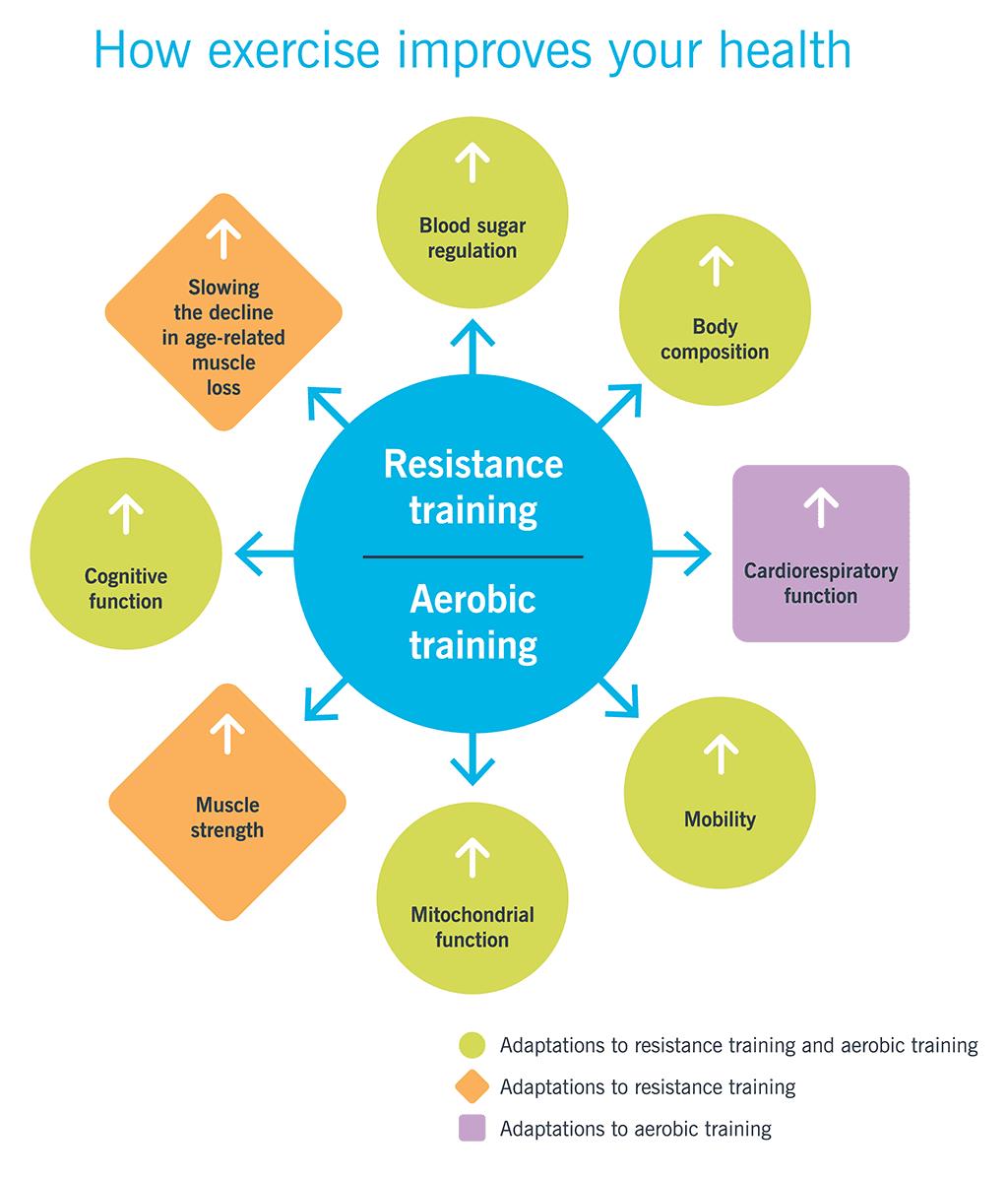 Image shows how resistance training and aerobic training benefit numerous areas of health, such as cognitive function, blood sugar regulation, mobility, and more.