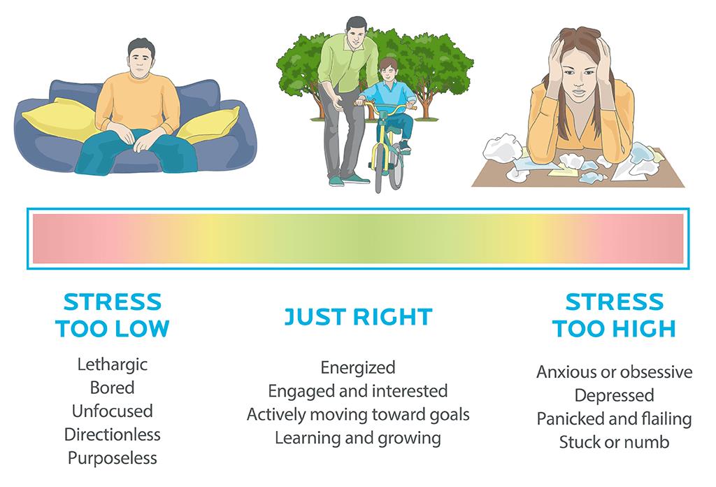 Image shows a continuum of stress. When stress is too low, we feel bored or purposeless. When stress is just right, we feel energized and engaged. When stress is too high, we feel anxious or numb.