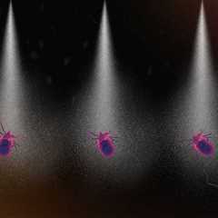 synthetic insecticide