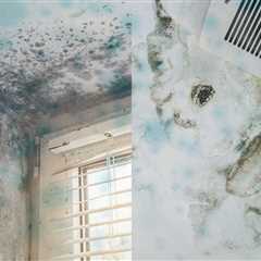 mold detection