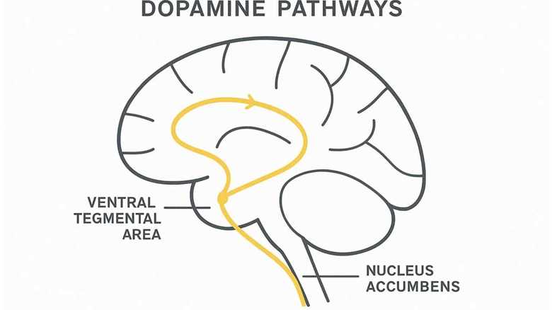 Motivation vs discipline: Why one always beats the other (and it's not what you think)
