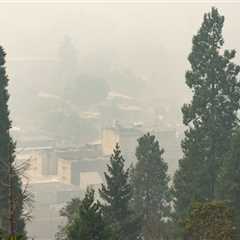 wildfires