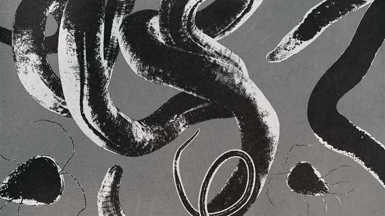 You Might Be Hosting a Parasite Right Now. Here’s How to Tell