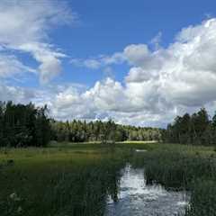 A 10 Day Itinerary Down Sweden’s Coast