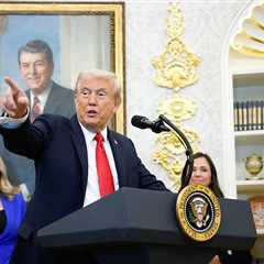 Trump Unveils Plan to Expand Access to ‘Fertility Insurance’ and IVF Drugs