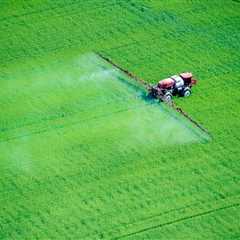 ''forever chemicals''