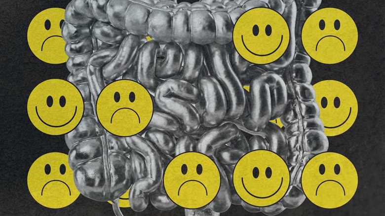 Your Gut Could Be Affecting Your Mood
