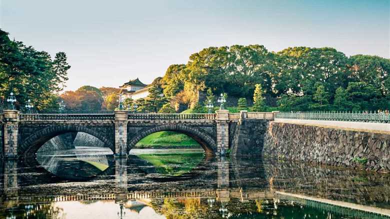 The 8 Best Airbnb Experiences in Tokyo