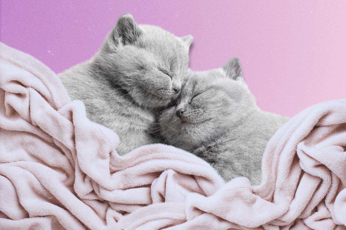 How Snuggling Affects Your Sleep