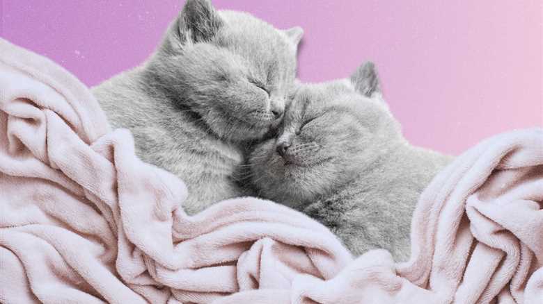 Cuddling Might Help You Get Better Sleep