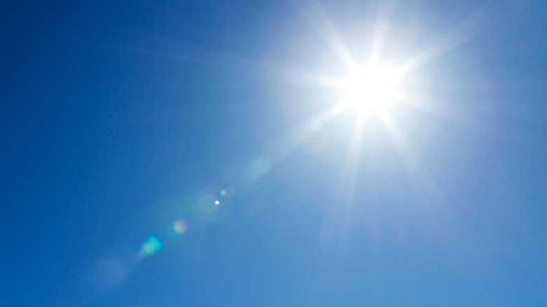 Primal Blueprint Law 8: Get Plenty of Sunlight